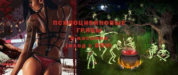 дмт Алексеевка