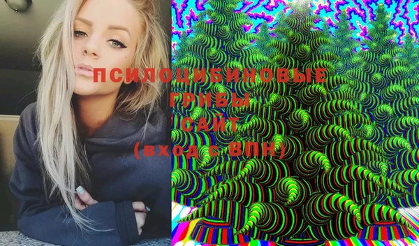 молекула духа Алзамай
