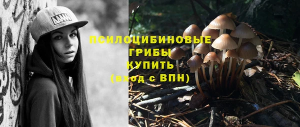 дмт Алексеевка