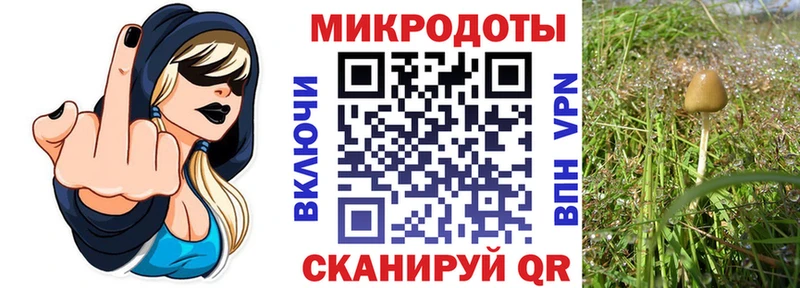 Галлюциногенные грибы мицелий  Красноярск 